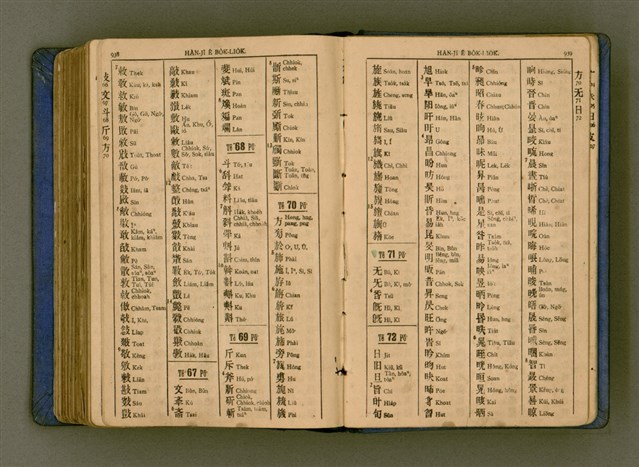 主要名稱：廈門音新字典/其他-其他名稱：Ē-mn̂g im Sin Jī-tián圖檔，第481張，共520張