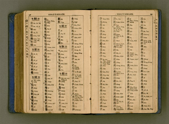 主要名稱：廈門音新字典/其他-其他名稱：Ē-mn̂g im Sin Jī-tián圖檔，第486張，共520張