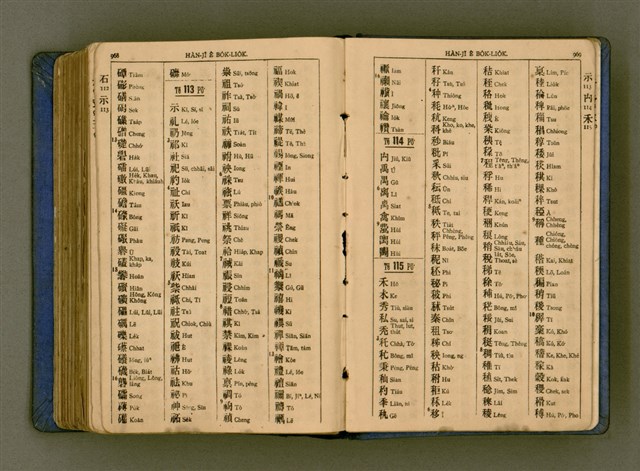 主要名稱：廈門音新字典/其他-其他名稱：Ē-mn̂g im Sin Jī-tián圖檔，第496張，共520張