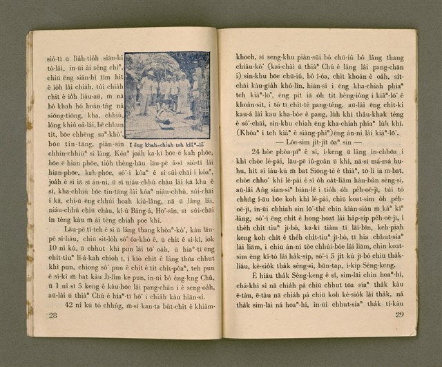 期刊名稱：Ka-têng ê Pêng-iú Tē 6 kî/其他-其他名稱：家庭ê朋友 第6期圖檔，第16張，共28張