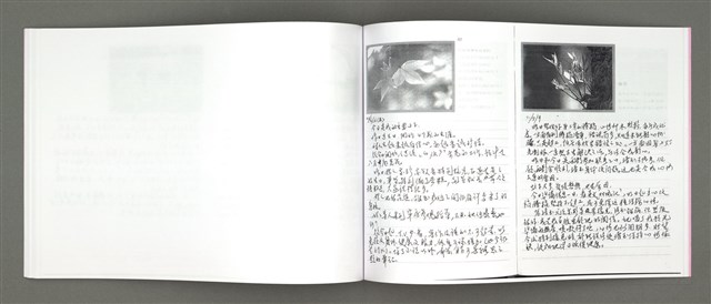 主要名稱：四季的呢喃：虹彩手記(一)〈影本〉圖檔，第62張，共68張