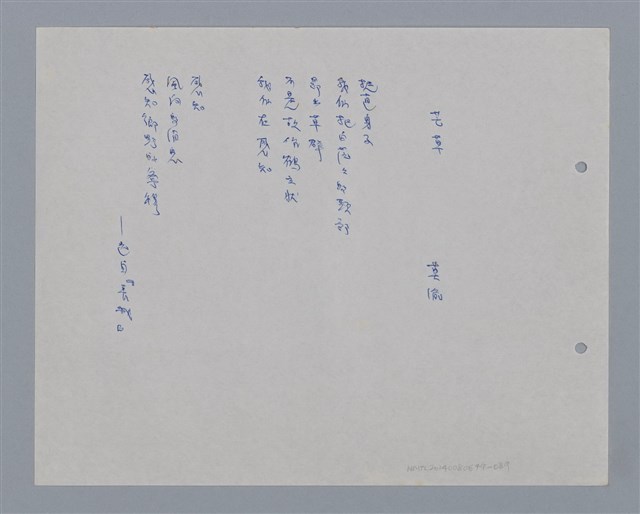 主要名稱：芒草圖檔，第1張，共1張