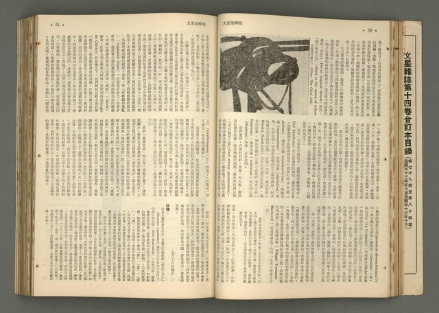 主要名稱：文星 79-84期合訂本圖檔，第67張，共209張