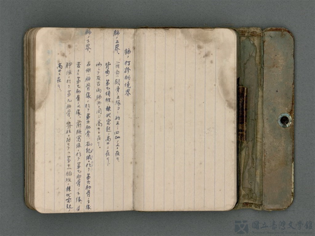 第10張，共66張