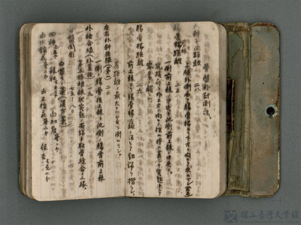 第14張，共66張