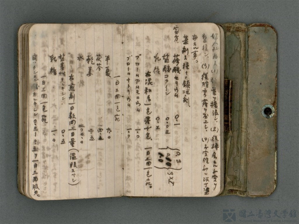 第17張，共66張