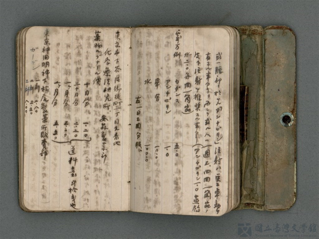 第21張，共66張