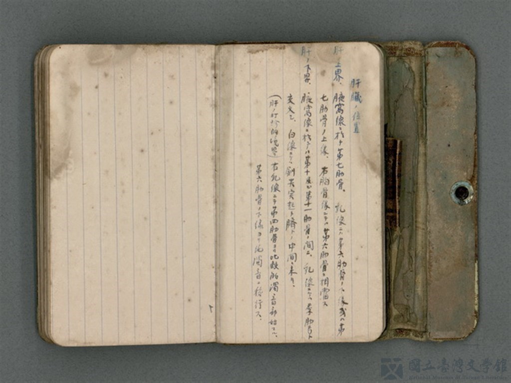 第11張，共66張