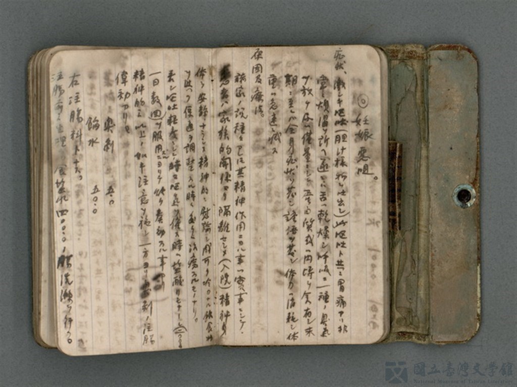 第16張，共66張