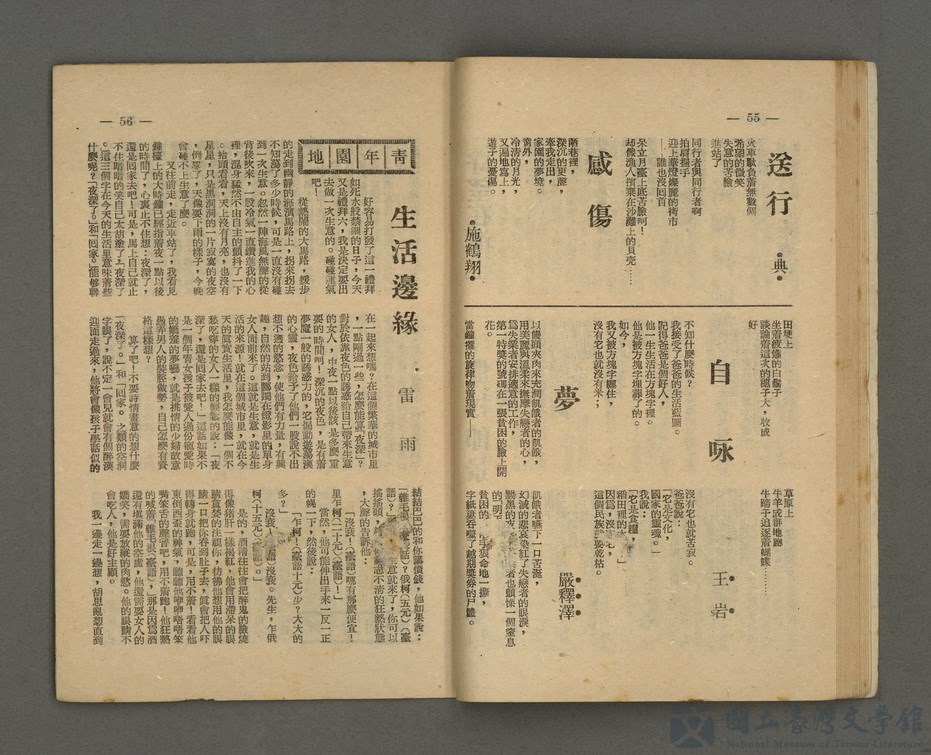 第31張，共35張