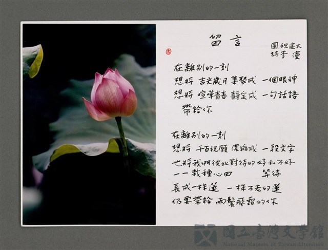 藏品小故事:但願花謝見蓮子的圖片