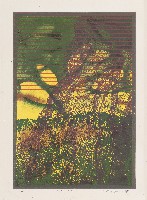 窗2863的圖片