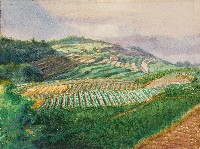 陽金公路藏品圖，第1張