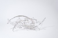線的律動藏品圖，第1張