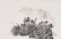 岩上的樹叢的圖片