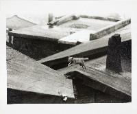 九份藏品圖，第1張