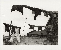 路過藏品圖，第1張