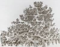 女媧神宮的圖片