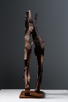 Walking Series Collection Image, Figure 4, Total 4 Figures