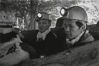 幽黯微光－三峽海山一坑的圖片