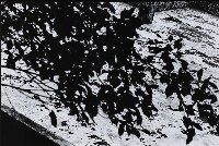 迢迢路1993—3，台北，金瓜石的圖片