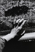 迢迢路2005—3，台北，新店的圖片