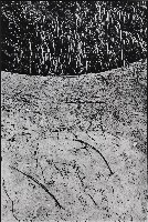 迢迢路2003—1，台北，八里 的圖片