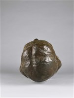 Untitled Collection Image, Figure 7, Total 8 Figures