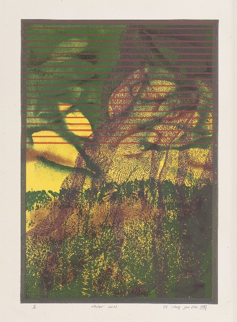 Window 2863
