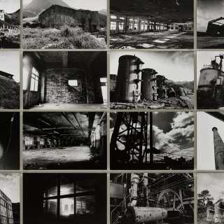 Roaming around the Ruins: The Civilization Built by Skeleton