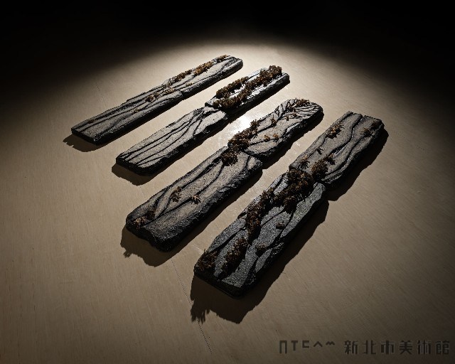 生之搏藏品圖，第1張