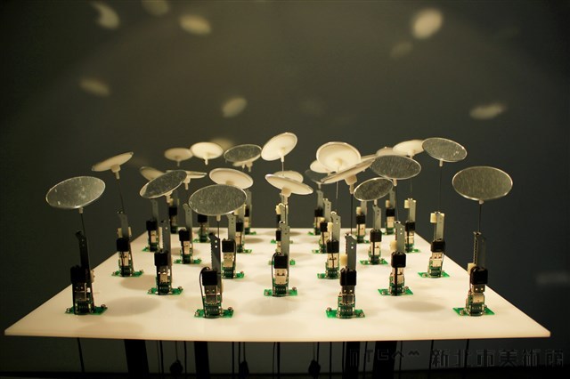 Spring Up Collection Image, Figure 2, Total 3 Figures