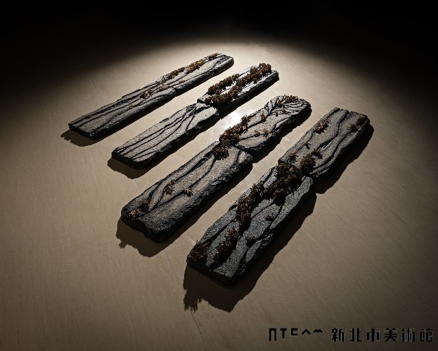 Struggle for Life Collection Image