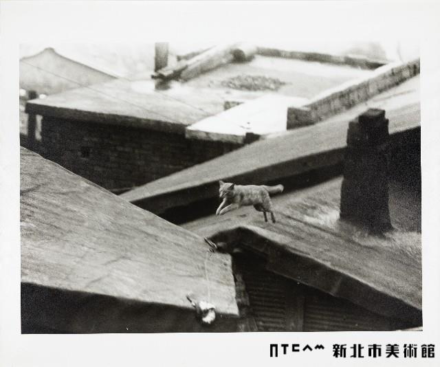 九份藏品圖，第1張