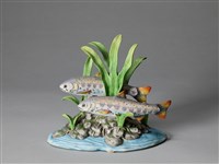 櫻花鉤吻鮭藏品圖，第1張