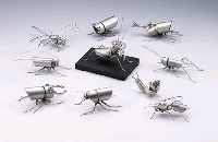 昆蟲標本箱的圖片