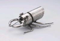 昆蟲標本箱藏品圖，第3張