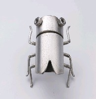 昆蟲標本箱藏品圖，第4張