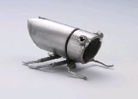 昆蟲標本箱藏品圖，第6張