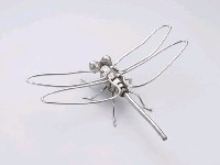 昆蟲標本箱藏品圖，第9張