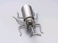 昆蟲標本箱藏品圖，第11張