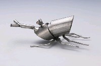 昆蟲標本箱藏品圖，第12張