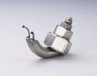 昆蟲標本箱藏品圖，第13張