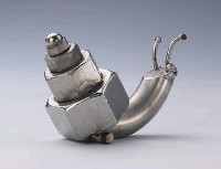 昆蟲標本箱藏品圖，第14張