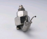 昆蟲標本箱藏品圖，第15張