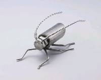 昆蟲標本箱藏品圖，第16張