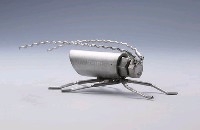 昆蟲標本箱藏品圖，第17張