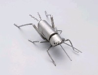 昆蟲標本箱藏品圖，第19張