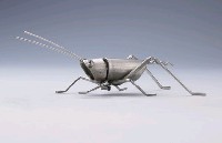 昆蟲標本箱藏品圖，第21張