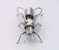 昆蟲標本箱藏品圖，第22張